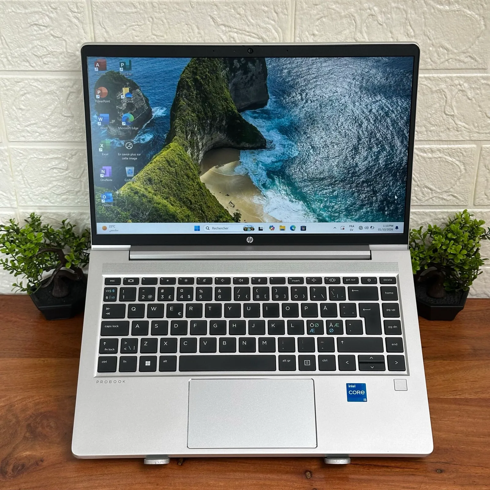HP ProBook 440 G10