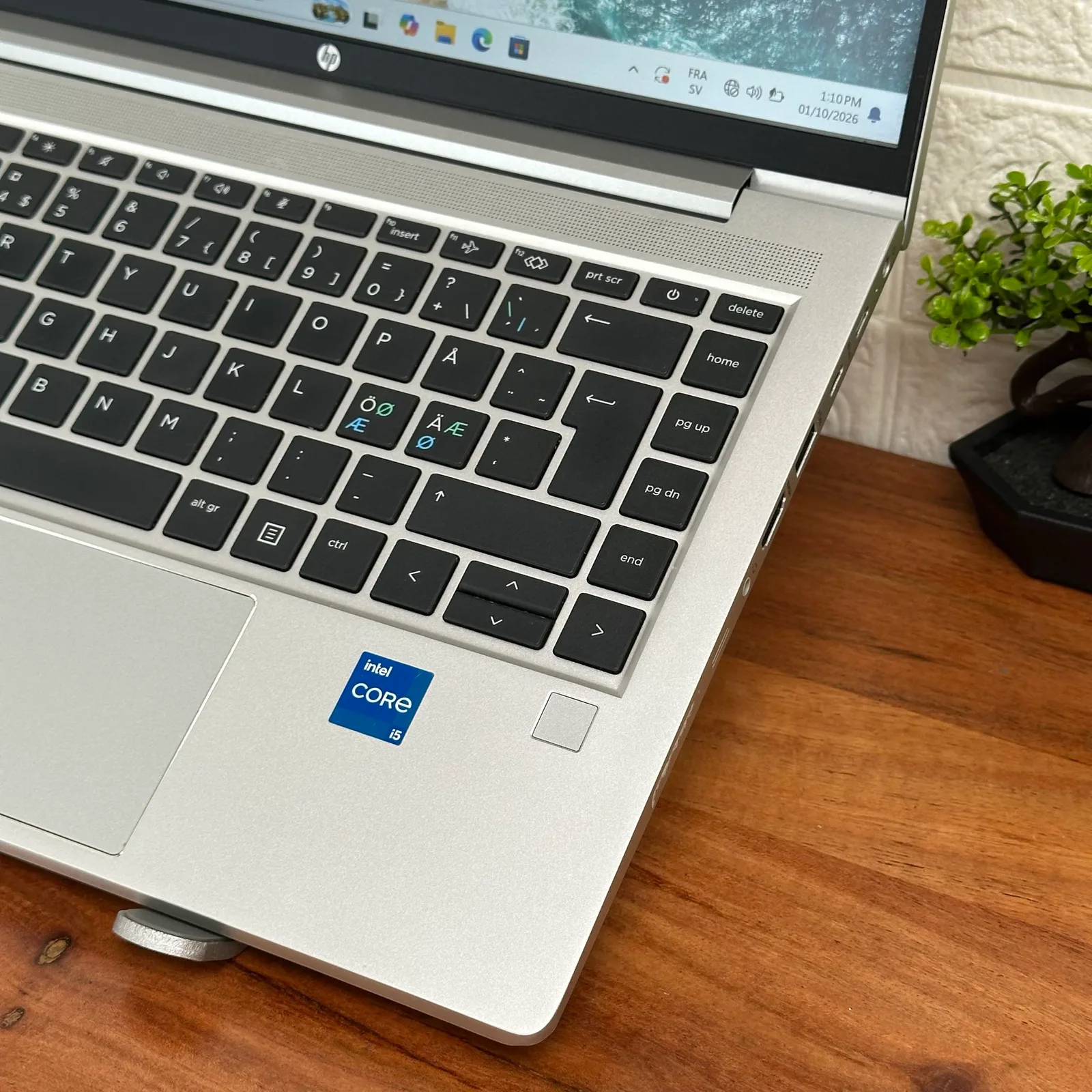 HP ProBook 440 G10